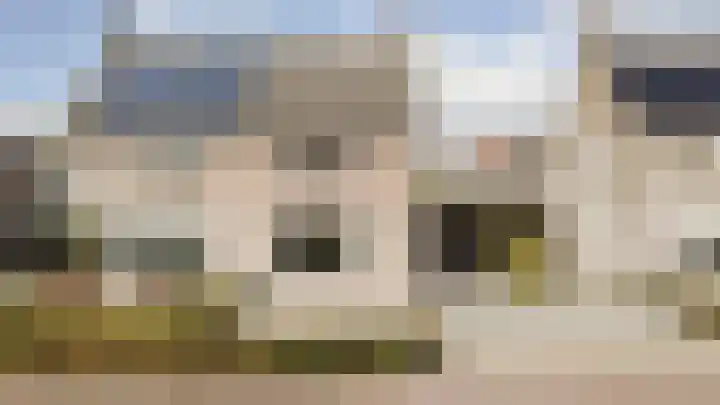 Boekweit 6 Haaren thumbnail 27