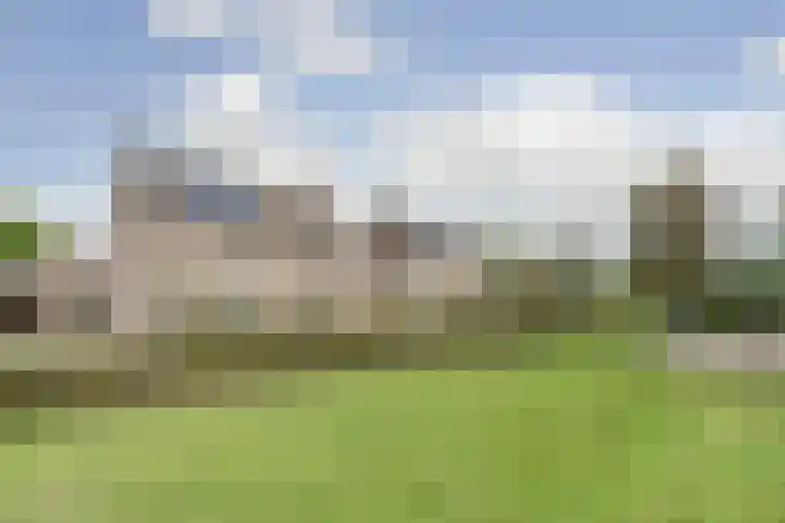Boekweit 6 Haaren thumbnail 28