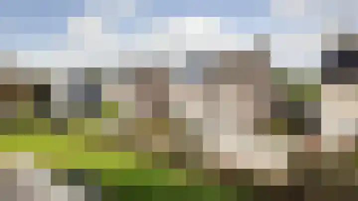 Boekweit 6 Haaren thumbnail 29