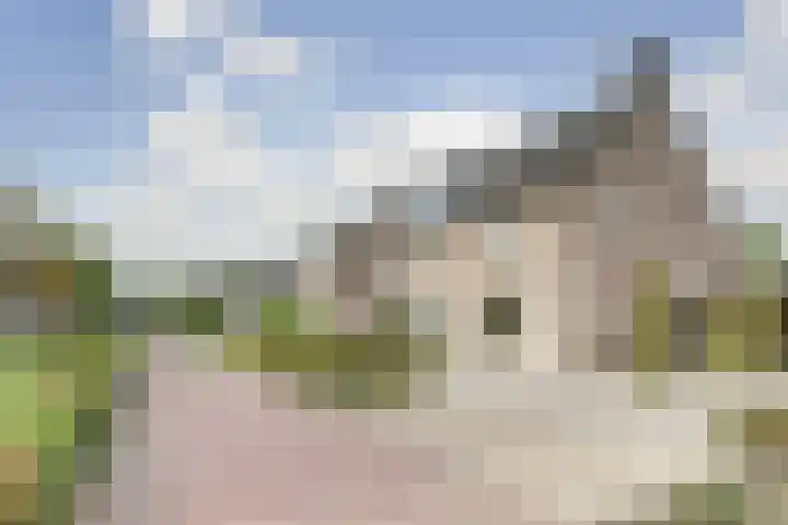 Boekweit 6 Haaren thumbnail 30