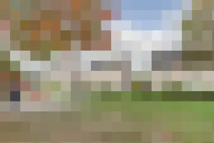 Boekweit 6 Haaren thumbnail 32