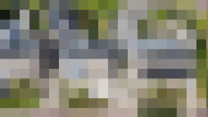 Boekweit 6 Haaren thumbnail 33