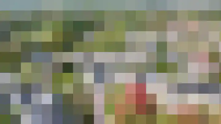 Boekweit 6 Haaren thumbnail 34