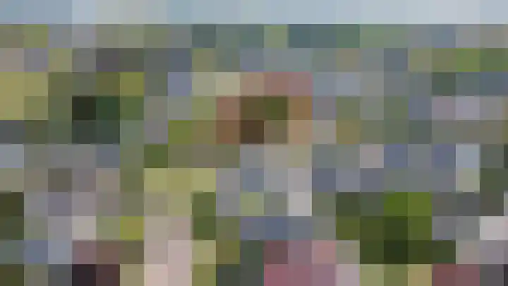 Boekweit 6 Haaren thumbnail 35
