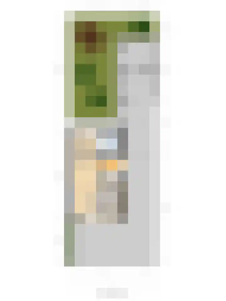 Boekweit 6 Haaren thumbnail 36