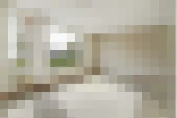 Boekweit 6 Haaren thumbnail 4