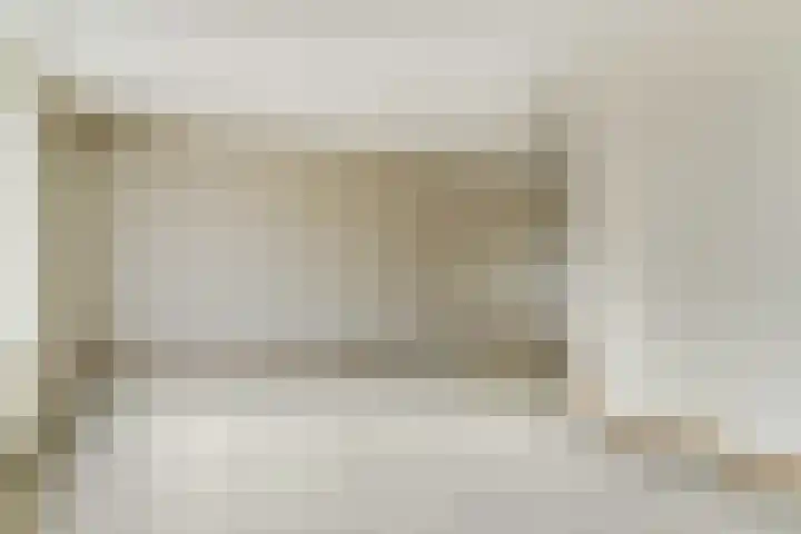 Boekweit 6 Haaren thumbnail 5