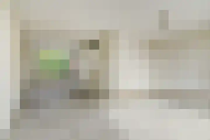 Boekweit 6 Haaren thumbnail 7