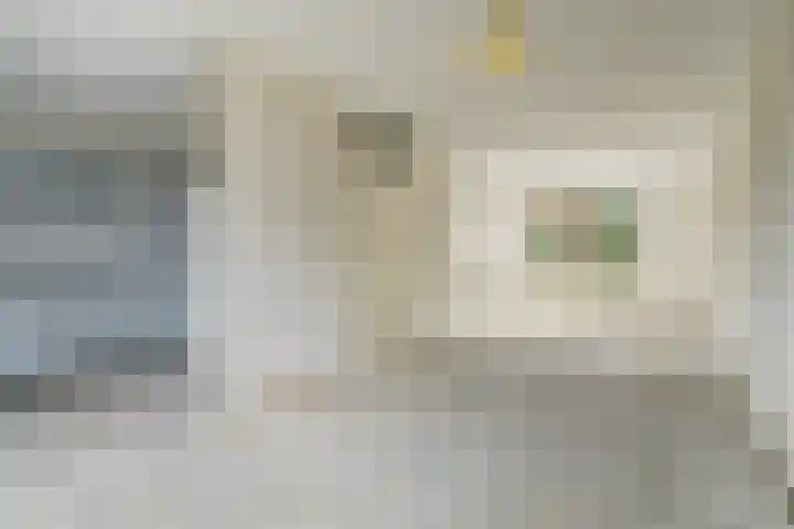 Boekweit 6 Haaren thumbnail 8