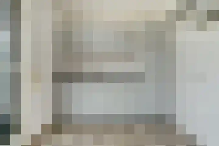 Boekweit 6 Haaren thumbnail 9