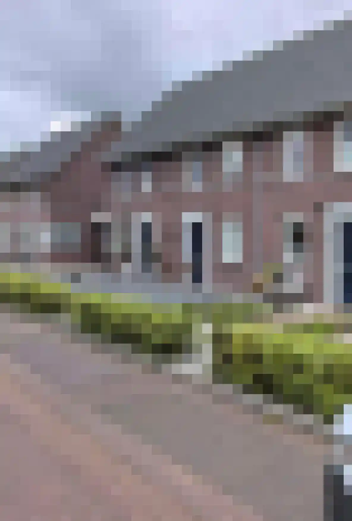 Boekweit 62 in Boekel