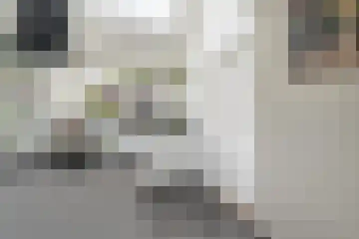 Boekweit 67 Eersel thumbnail 13