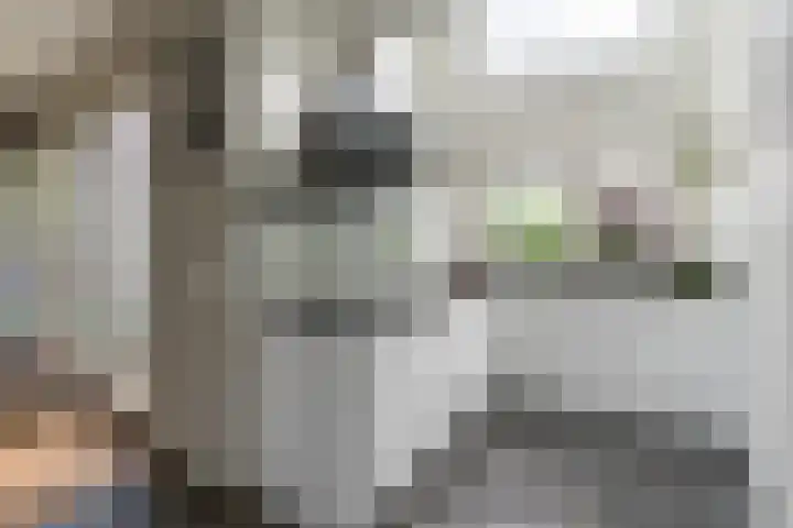 Boekweit 67 Eersel thumbnail 14