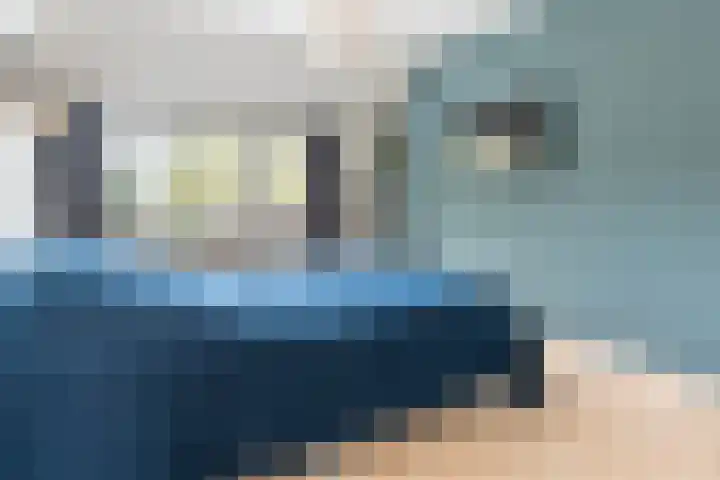 Boekweit 67 Eersel thumbnail 19