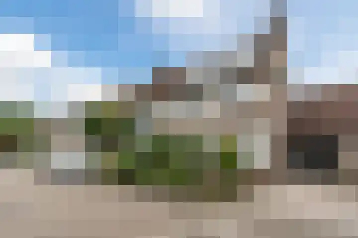 Boekweit 67 Eersel foto 2