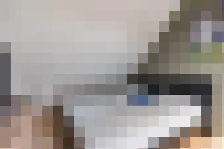 Boekweit 67 Eersel thumbnail 27