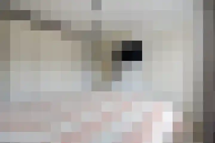 Boekweit 67 Eersel thumbnail 28