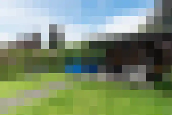 Boekweit 67 Eersel thumbnail 32