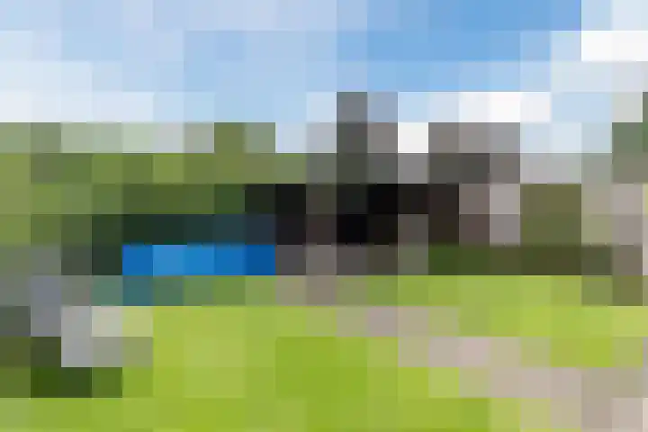 Boekweit 67 Eersel thumbnail 33