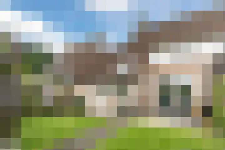 Boekweit 67 Eersel thumbnail 35