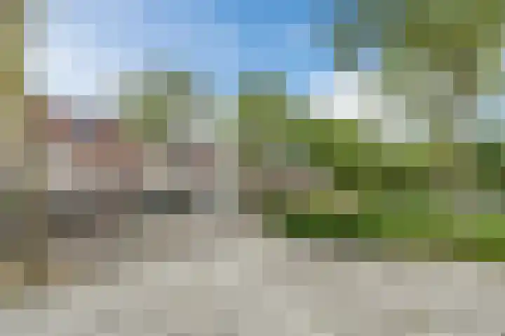 Boekweit 67 Eersel thumbnail 36