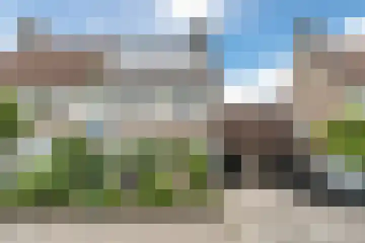 Boekweit 67 Eersel thumbnail 41