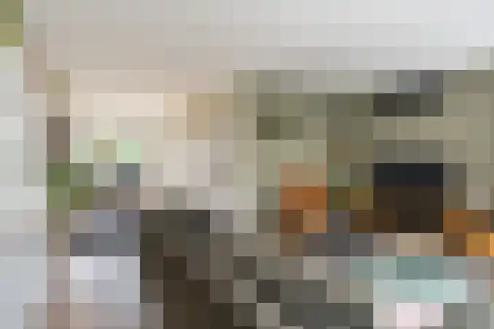 Boekweit 67 Eersel thumbnail 5