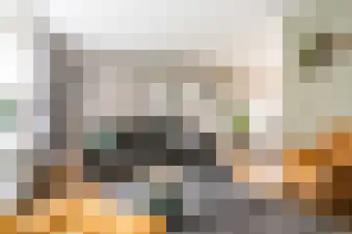 Boekweit 67 Eersel thumbnail 7