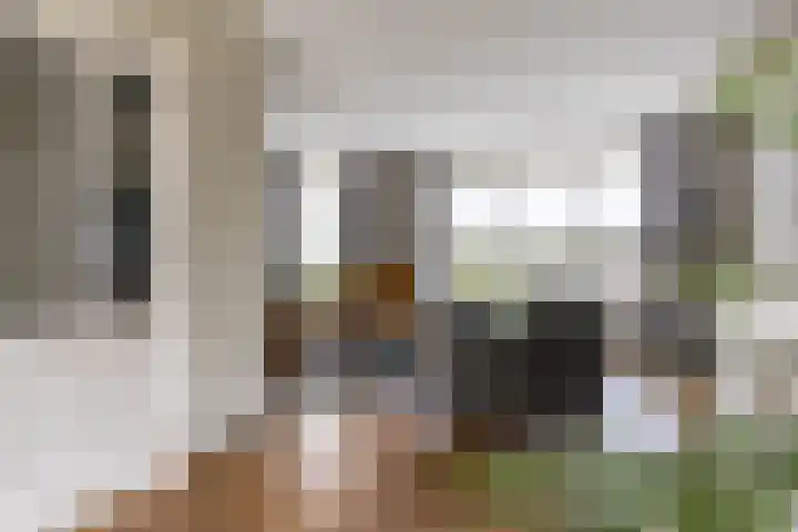 Boekweit 67 Eersel thumbnail 8