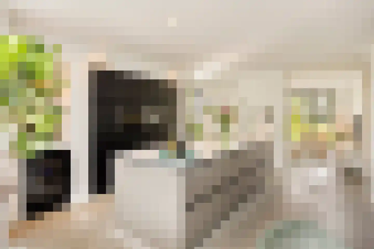 Boekweit 9 Someren thumbnail 11