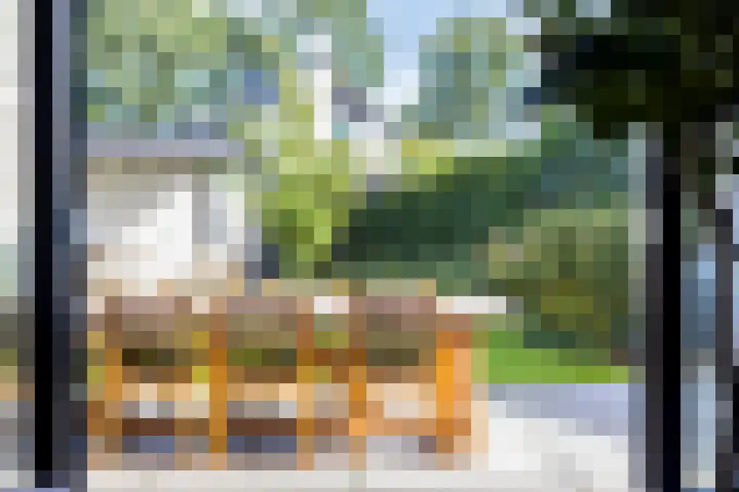 Boekweit 9 Someren thumbnail 18