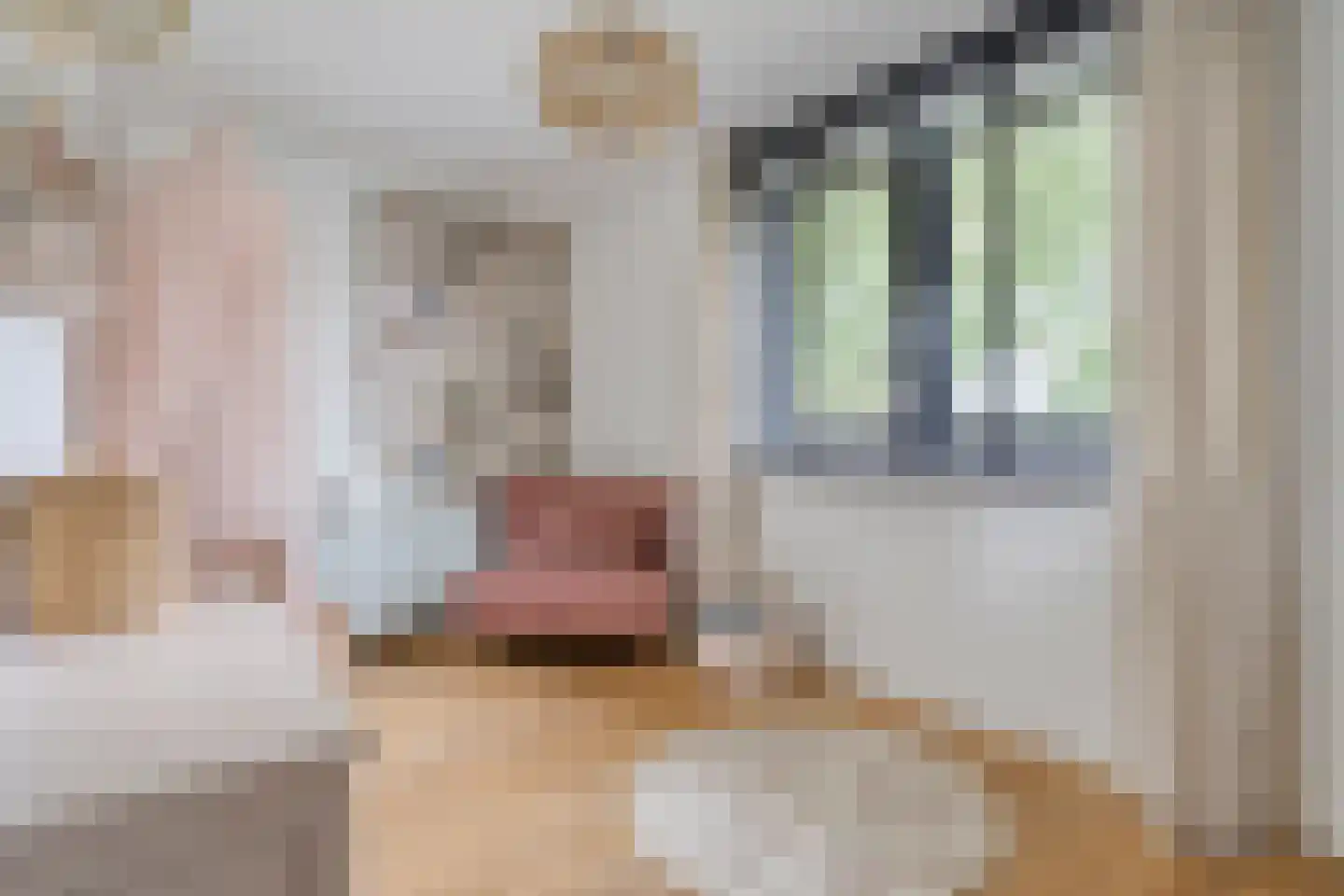 Boekweit 9 Someren thumbnail 27