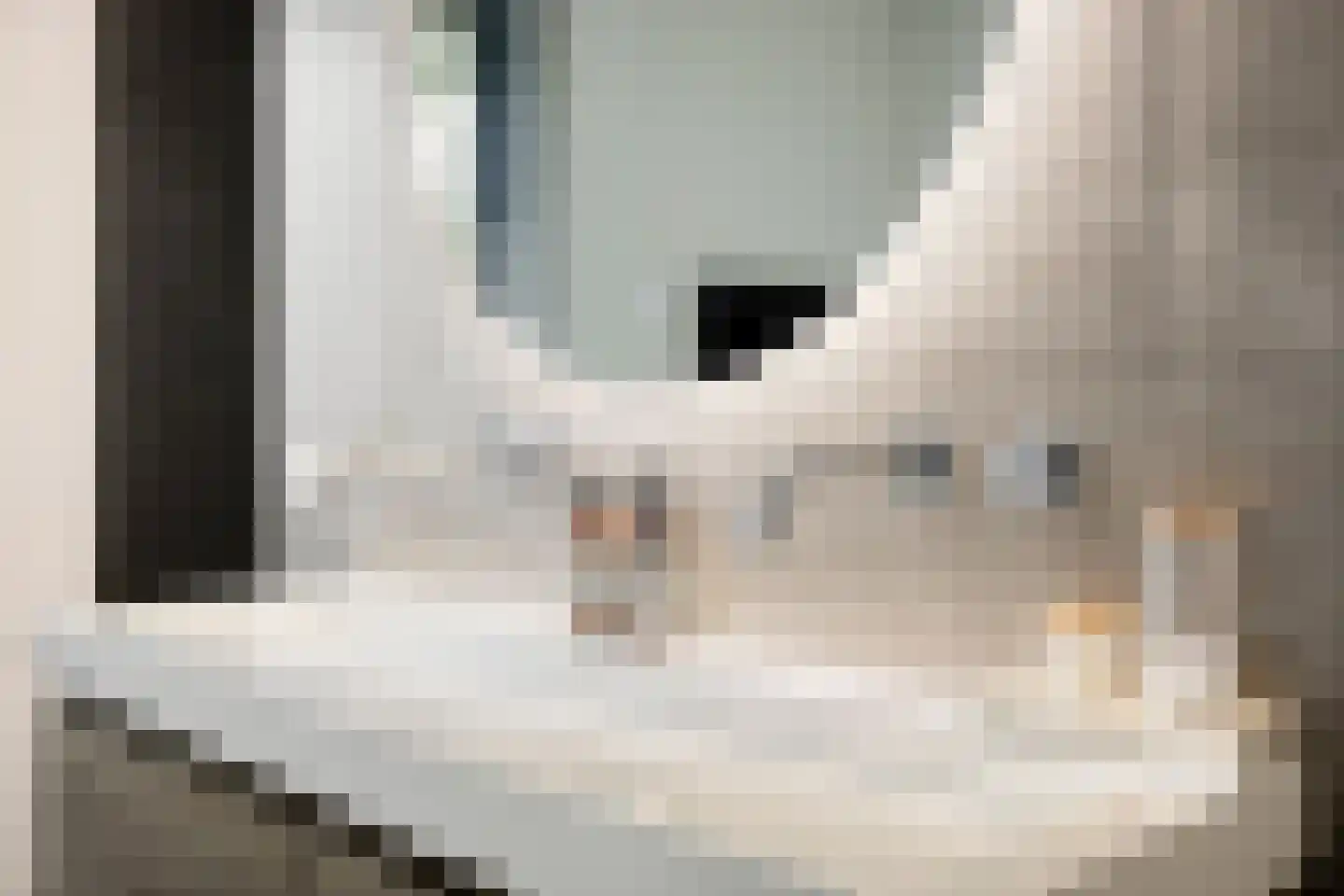 Boekweit 9 Someren thumbnail 33