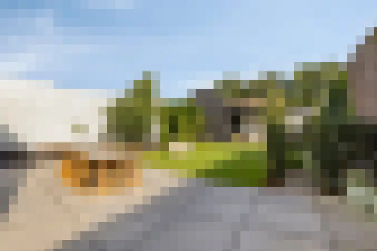 Boekweit 9 Someren thumbnail 35