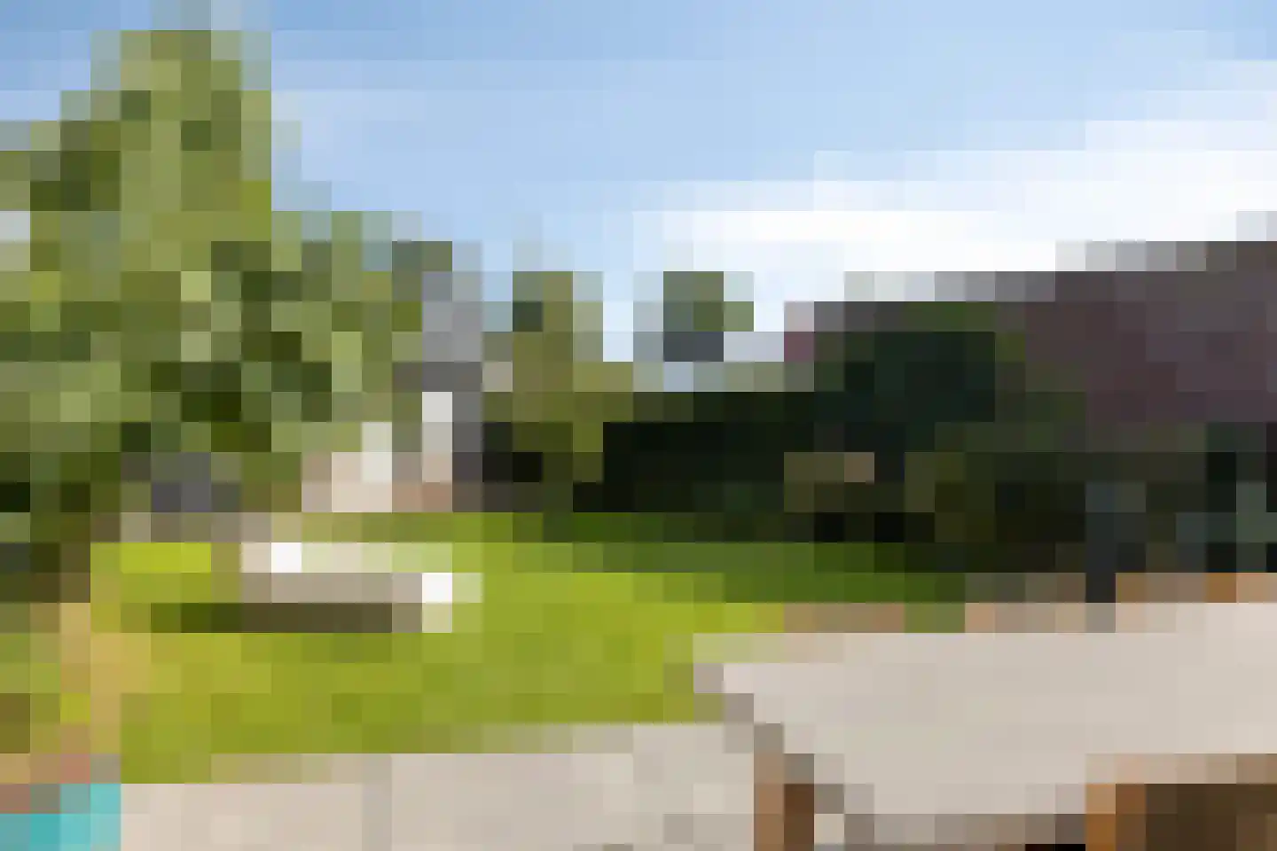 Boekweit 9 Someren thumbnail 37