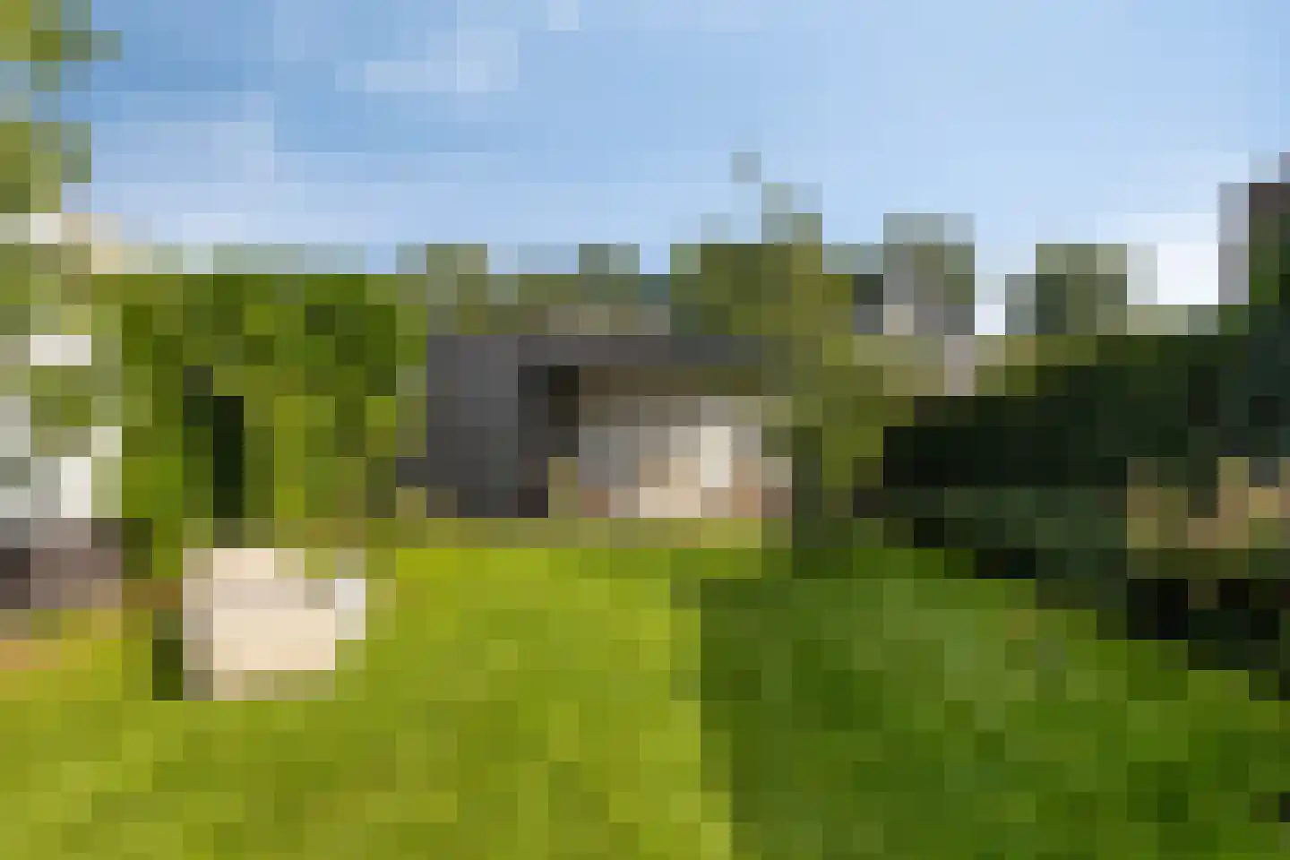 Boekweit 9 Someren thumbnail 38