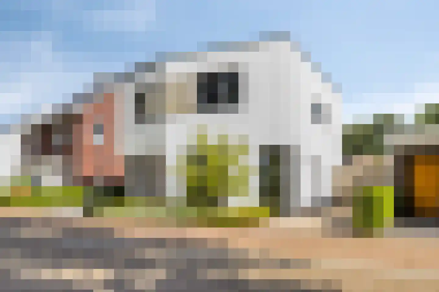 Boekweit 9 Someren thumbnail 4