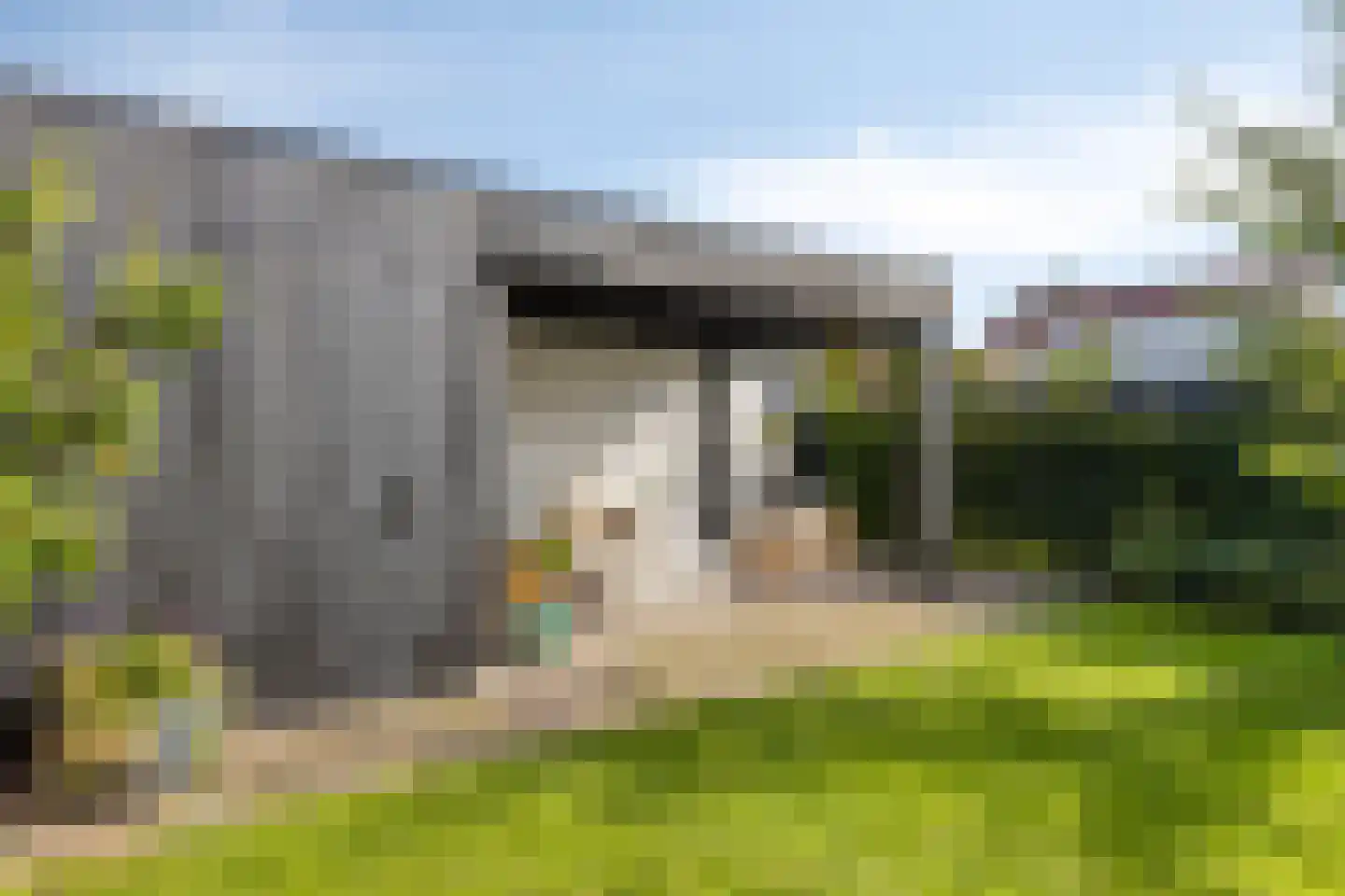 Boekweit 9 Someren thumbnail 40