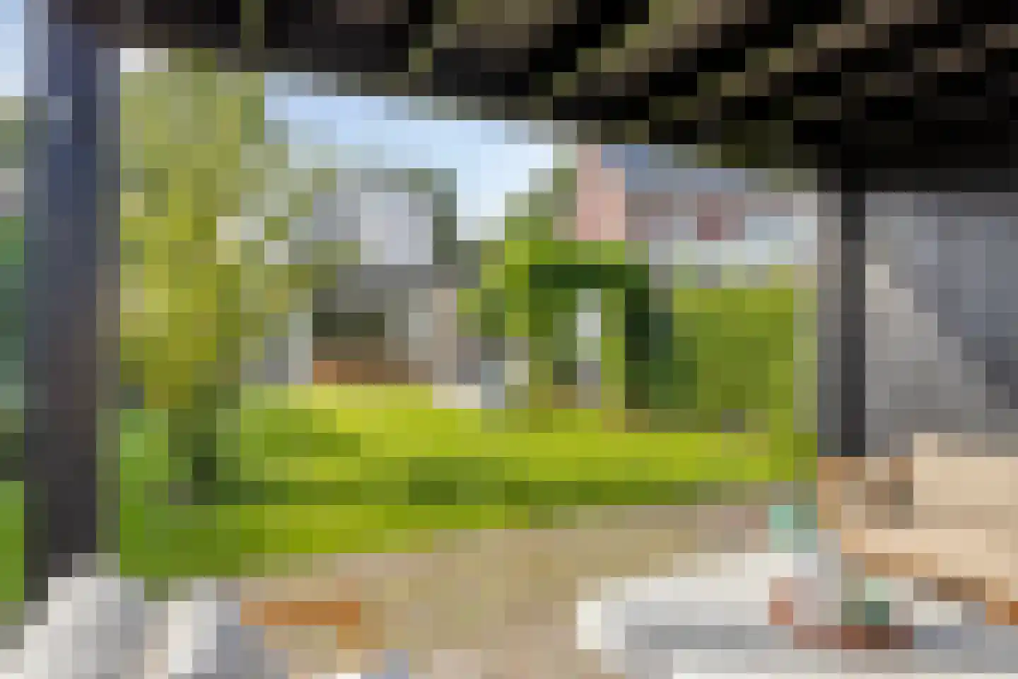 Boekweit 9 Someren thumbnail 43