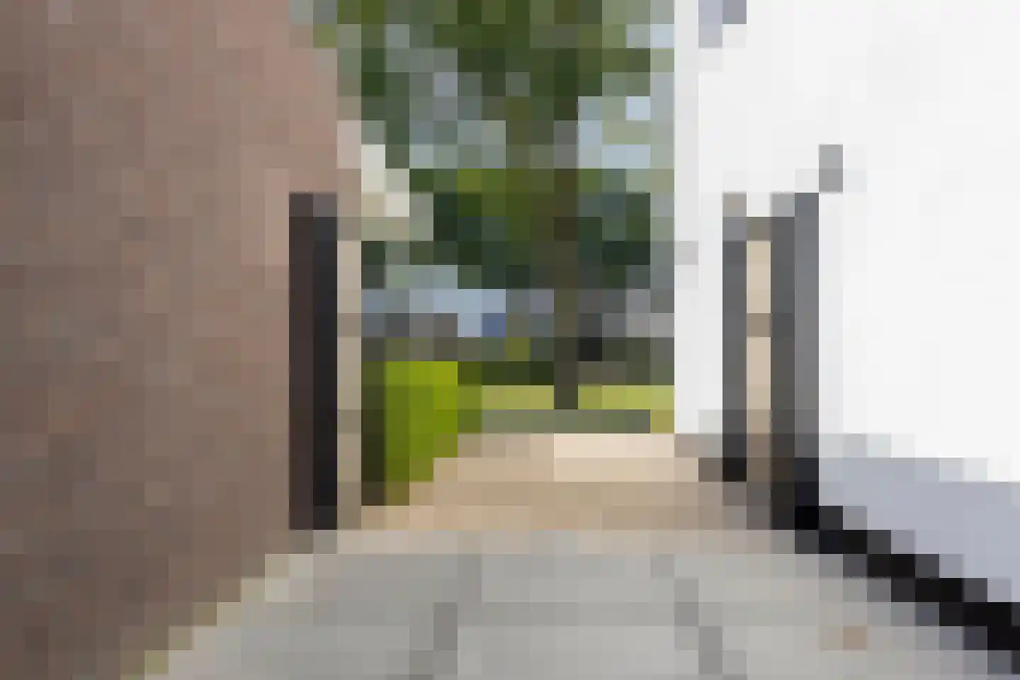Boekweit 9 Someren thumbnail 45