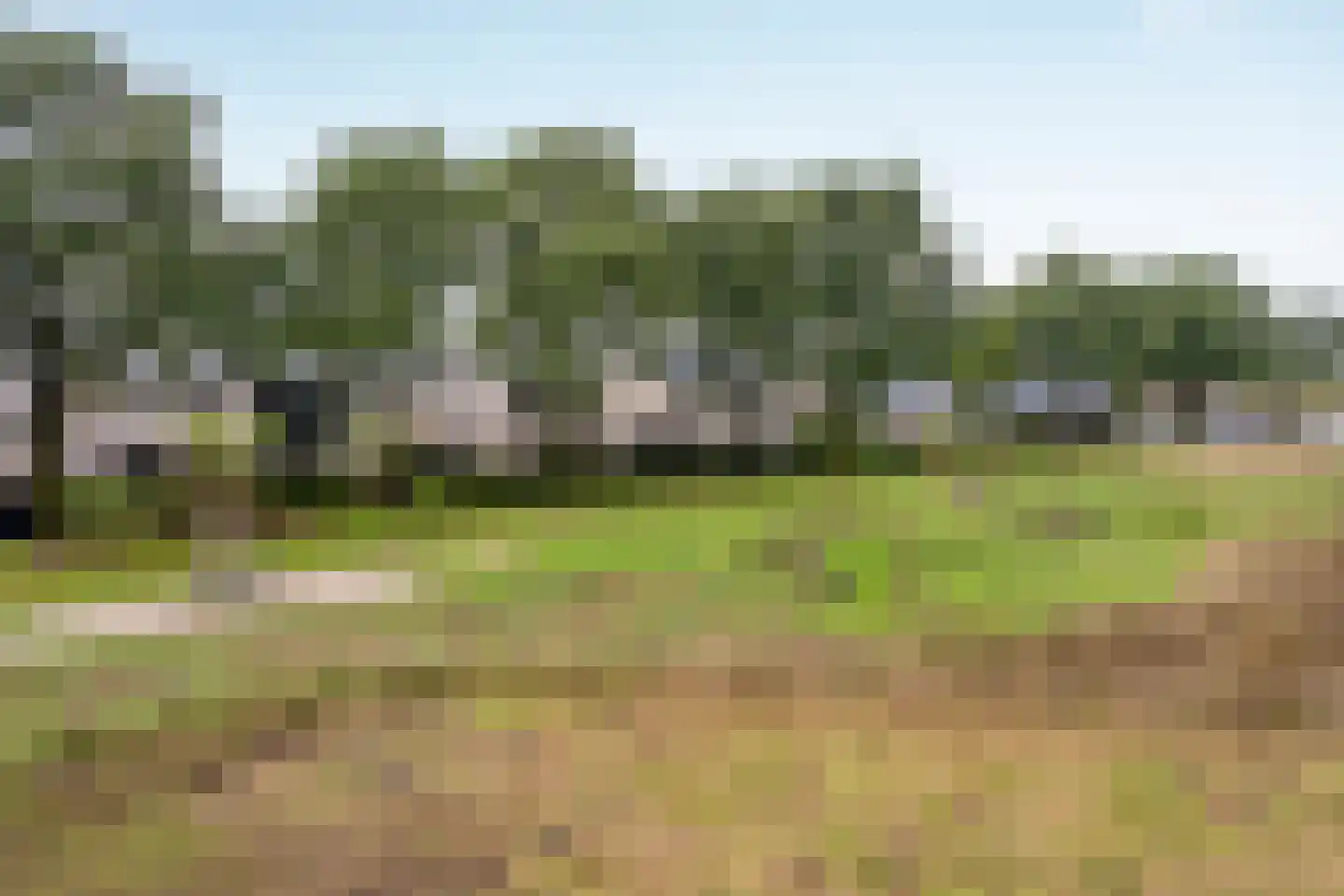 Boekweit 9 Someren thumbnail 46