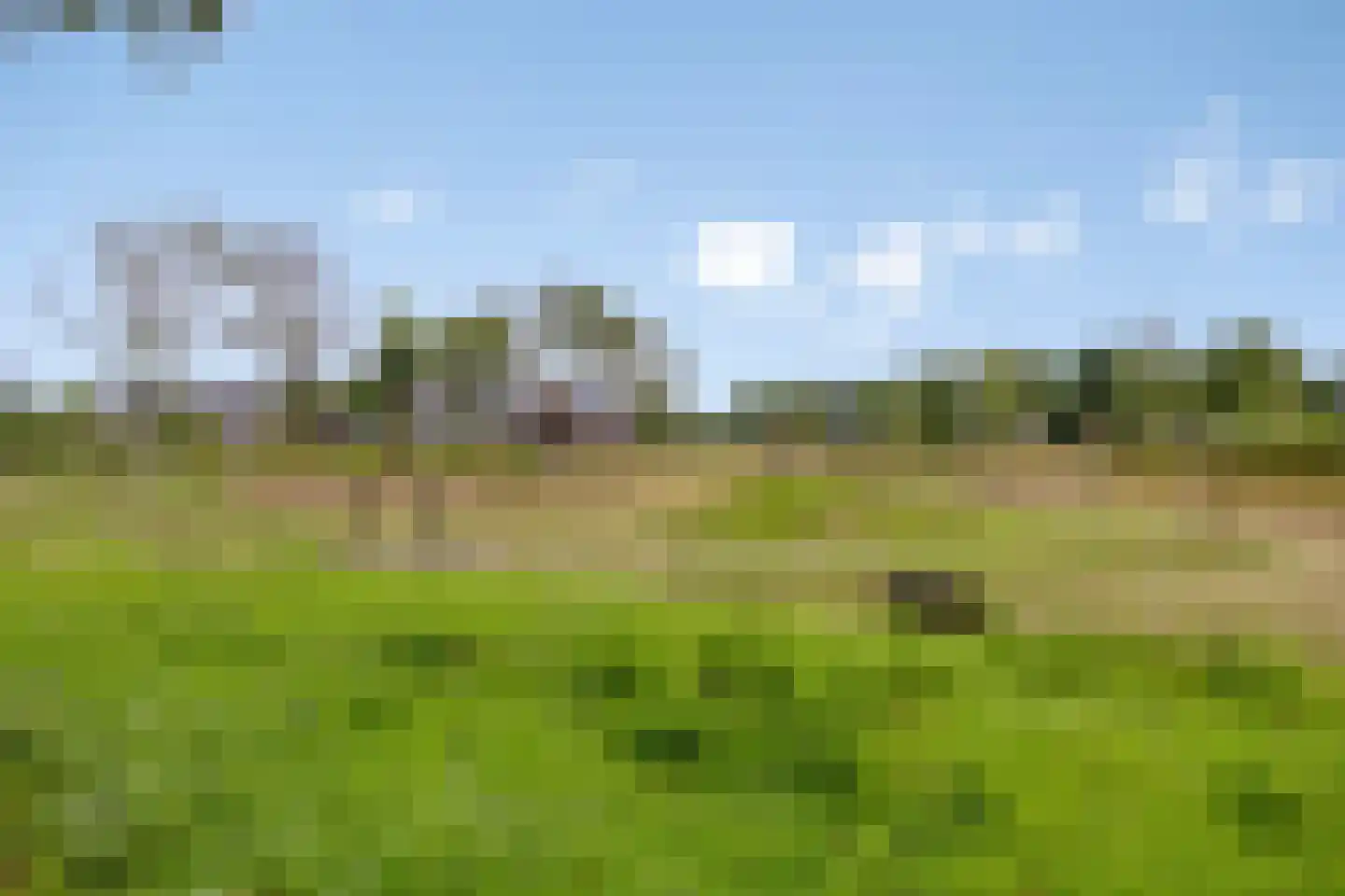 Boekweit 9 Someren thumbnail 47