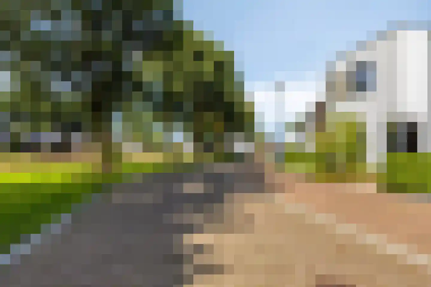 Boekweit 9 Someren thumbnail 6