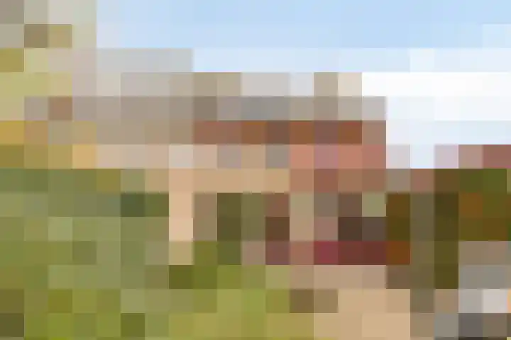 Boekweit-oord 2 Houten thumbnail 42