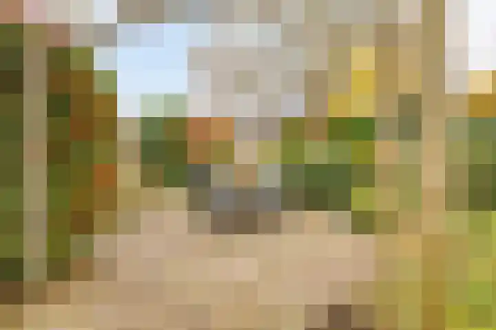 Boekweit-oord 2 Houten thumbnail 44