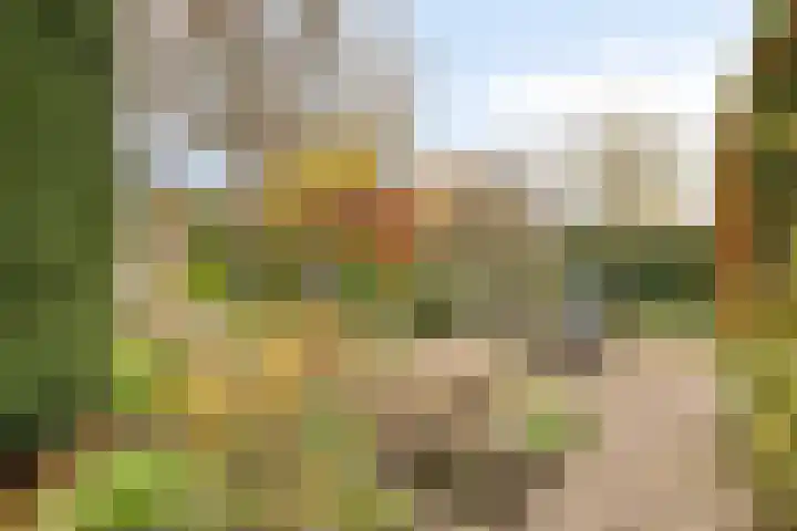 Boekweit-oord 2 Houten thumbnail 45