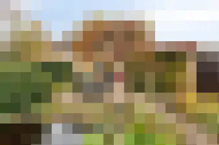 Boekweit-oord 2 Houten thumbnail 48