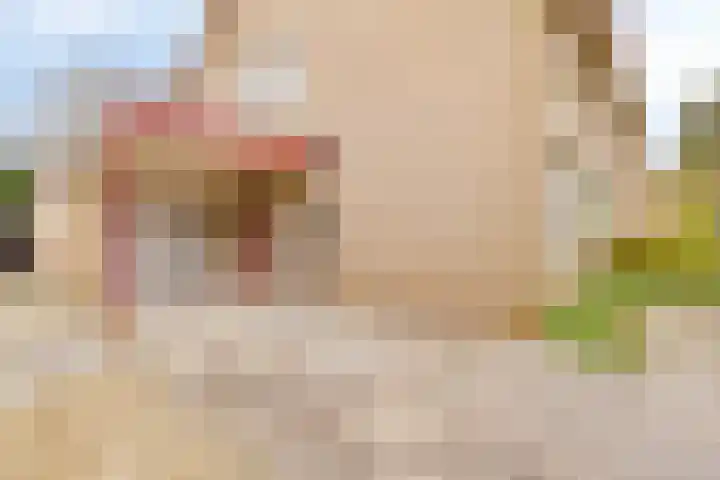 Boekweit-oord 2 Houten thumbnail 49