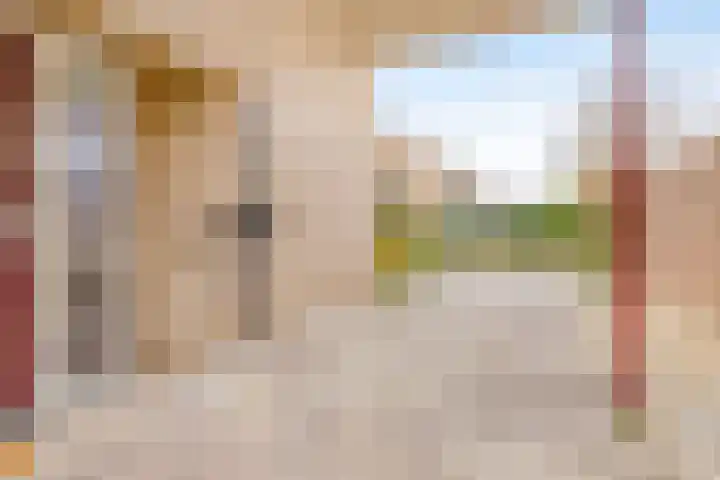 Boekweit-oord 2 Houten thumbnail 50