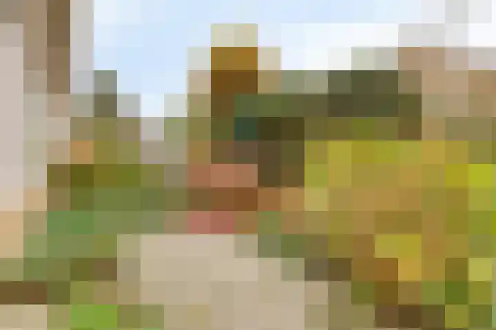 Boekweit-oord 2 Houten thumbnail 51